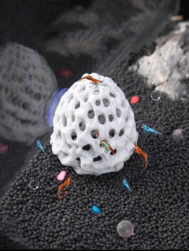 White Shrimp Dome Hideaway- Betta/Small Fish Tunnel Cave With Suction Cup!