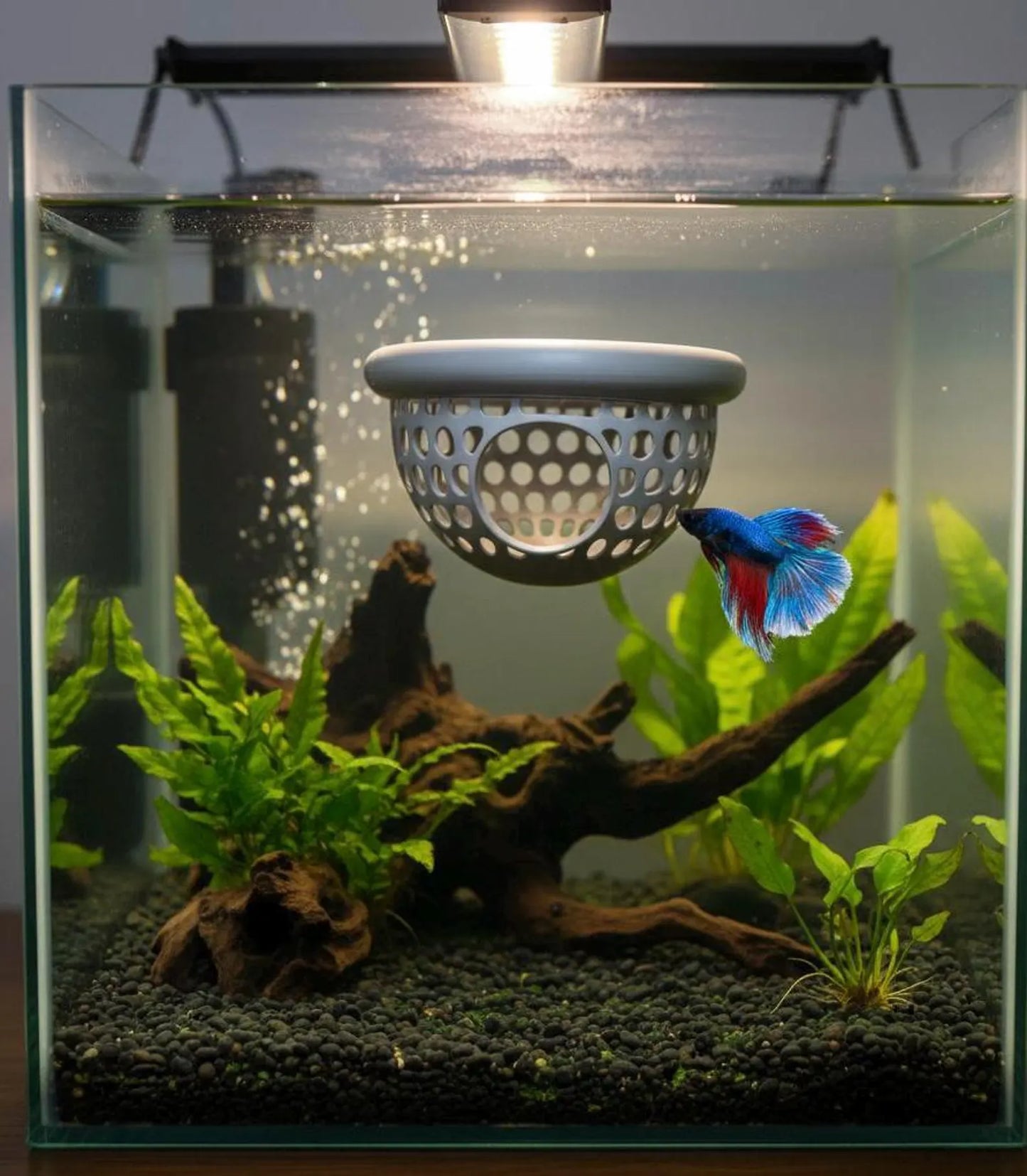 Floating Betta Fish Bungalow & Feeder Ring - Betta Rest Hammock