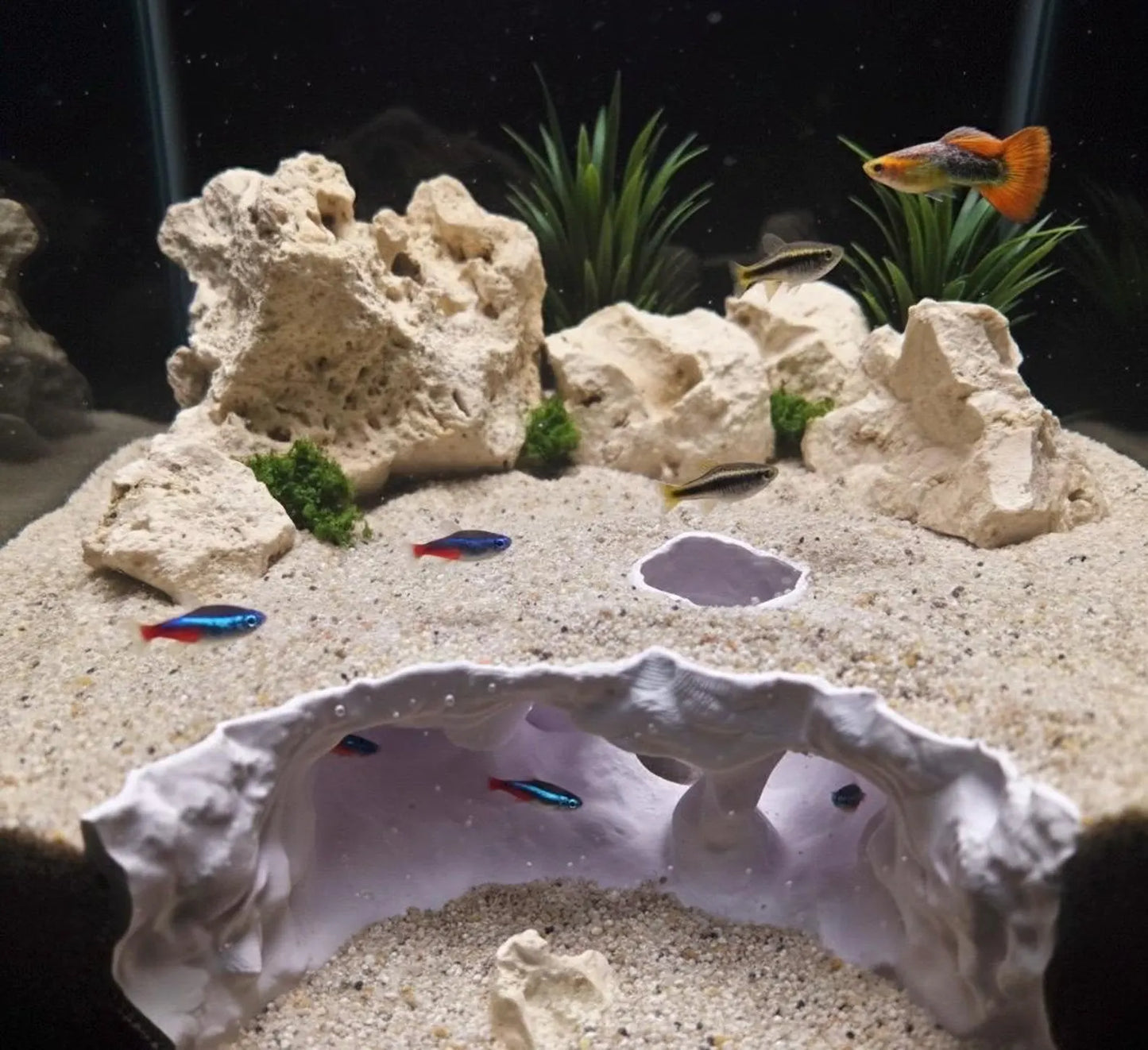 Naturalistic Aquarium Ravine Den | Multi-Level Terrarium Rock Hideaway