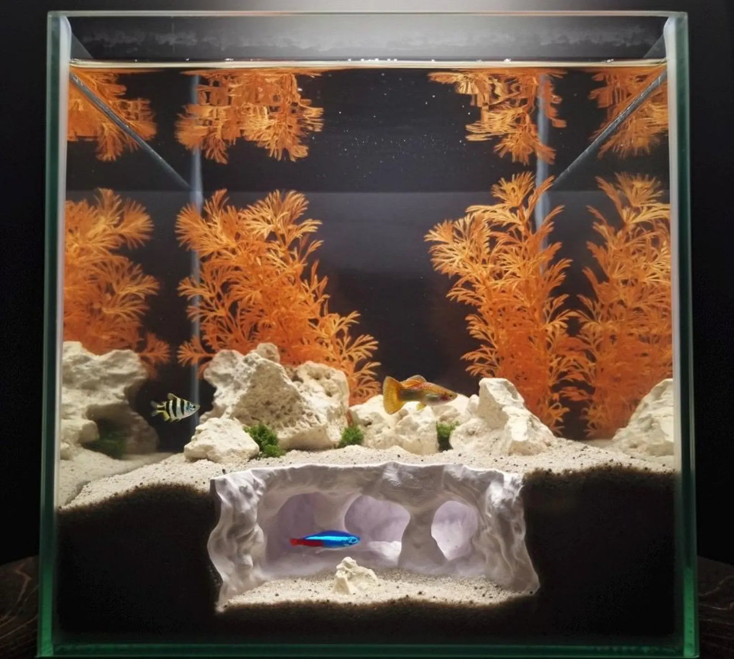 Naturalistic Aquarium Ravine Den | Multi-Level Terrarium Rock Hideaway