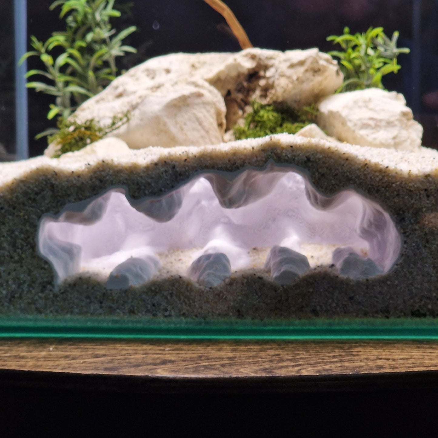 Naturalistic Aquarium Ravine Den | Multi-Level Terrarium Rock Hideaway