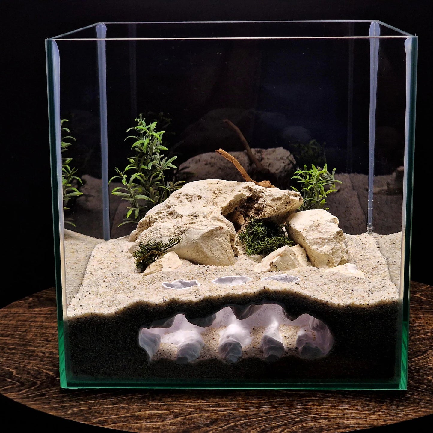 Naturalistic Aquarium Ravine Den | Multi-Level Terrarium Rock Hideaway