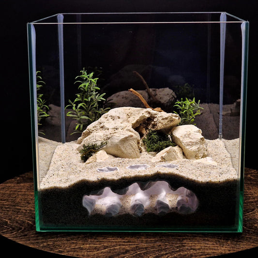 Naturalistic Aquarium Ravine Den | Multi-Level Terrarium Rock Hideaway