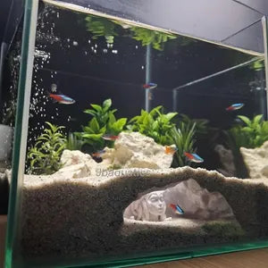 Medusa’s Lair Aquarium Hideout – Mythical Fish Cave Décor for Aquascapes & Terrariums - Underground Cave - The Catacombs