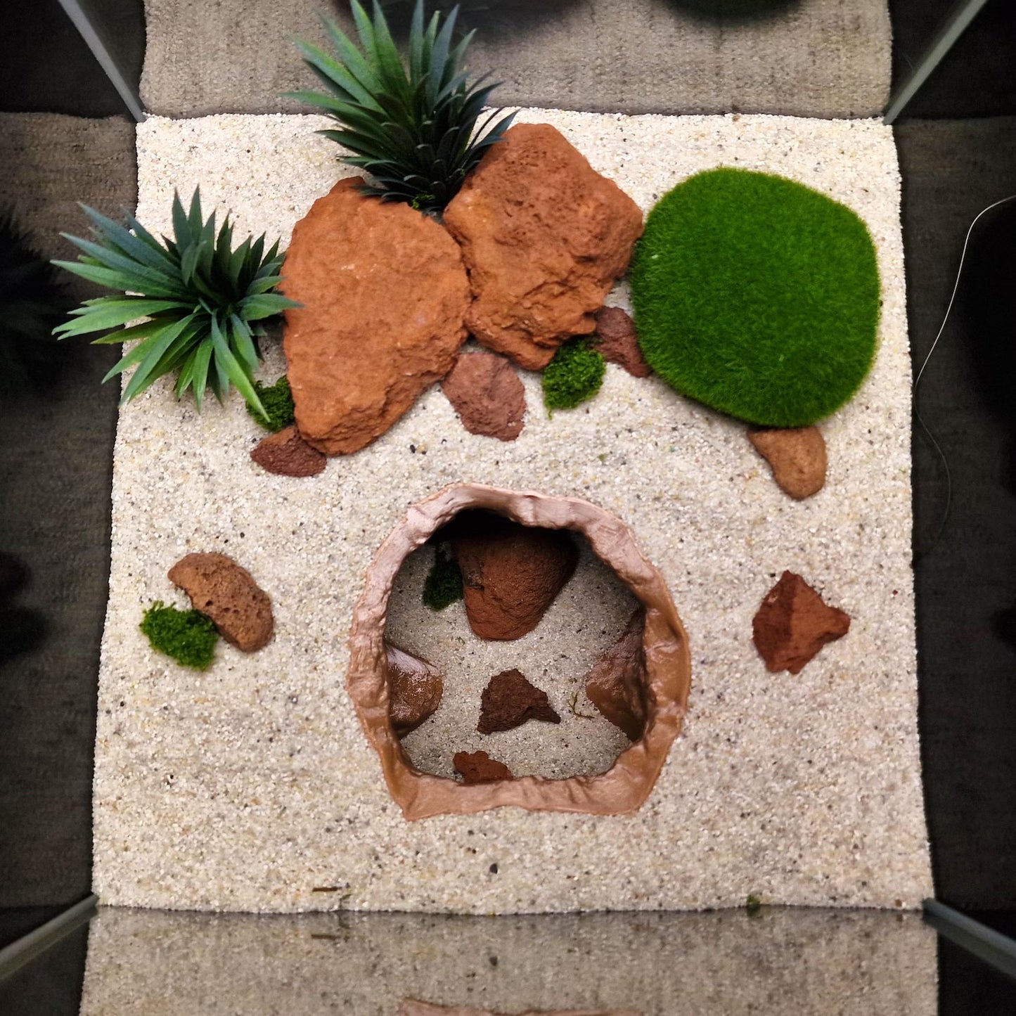 Shadowstone Canyon | Underground Bottom Dweller Den - Realistic Cave for Aquascaping